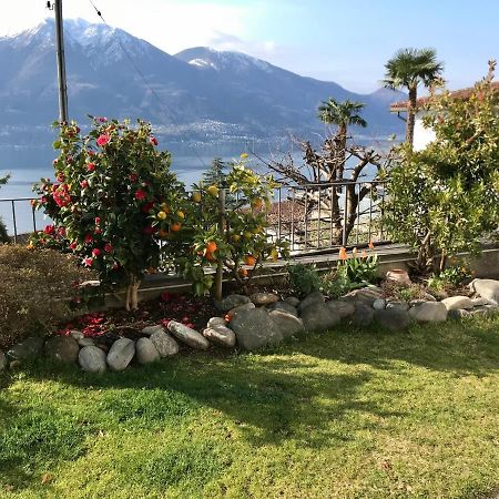 Camera Con Bagno Privato E Giardino Brione sopra Minusio Exterior photo